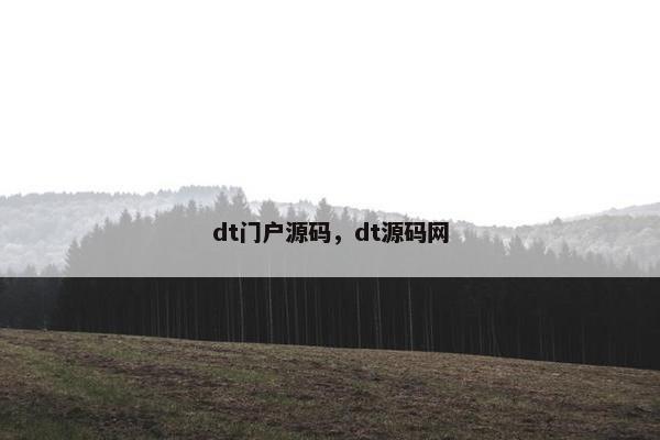 dt门户源码，dt源码网