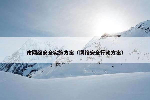 市网络安全实施方案（网络安全行动方案）