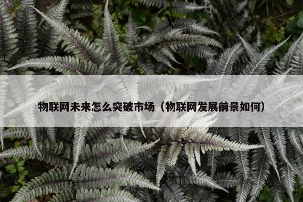 物联网未来怎么突破市场（物联网发展前景如何）