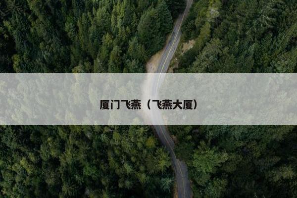 厦门飞燕（飞燕大厦）