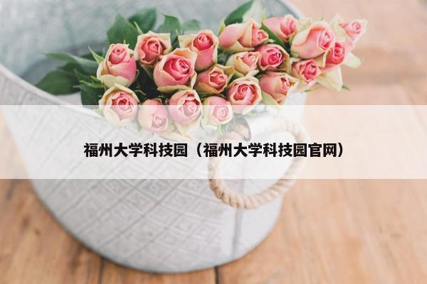 福州大学科技园（福州大学科技园官网）