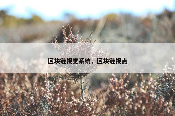 区块链视觉系统，区块链视点