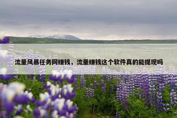 流量风暴任务网赚钱，流量赚钱这个软件真的能提现吗