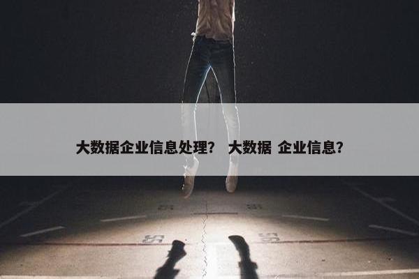 大数据企业信息处理？ 大数据 企业信息？