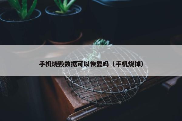 手机烧毁数据可以恢复吗（手机烧掉）
