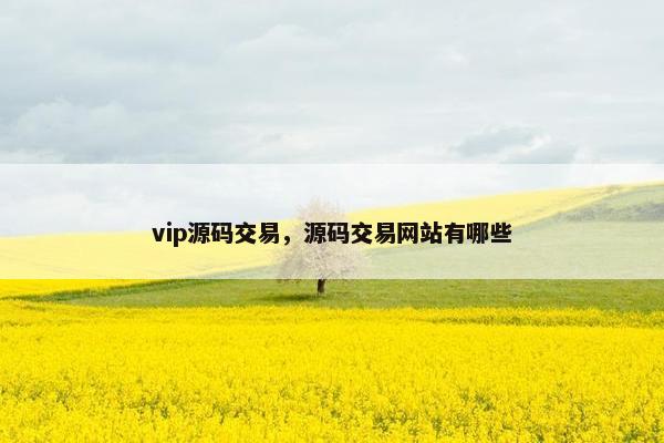 vip源码交易，源码交易网站有哪些