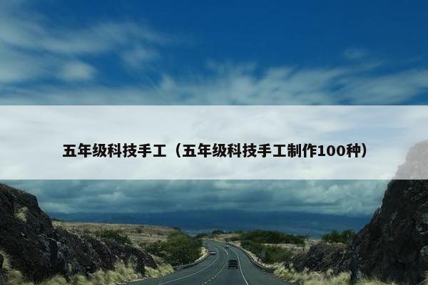 五年级科技手工（五年级科技手工制作100种）