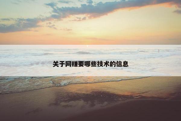 关于网赚要哪些技术的信息