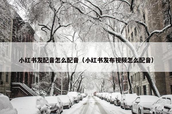 小红书发配音怎么配音（小红书发布视频怎么配音）