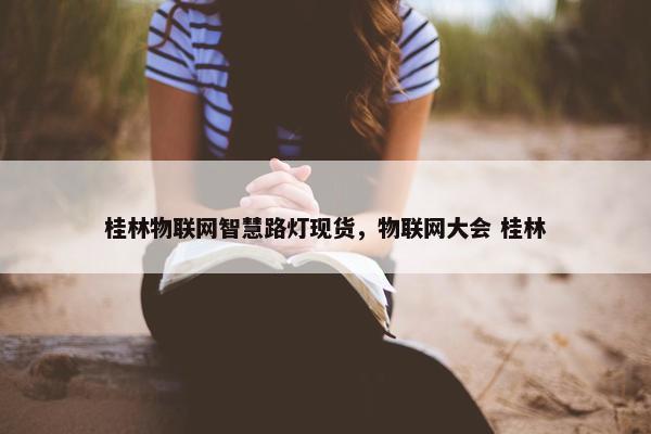 桂林物联网智慧路灯现货，物联网大会 桂林