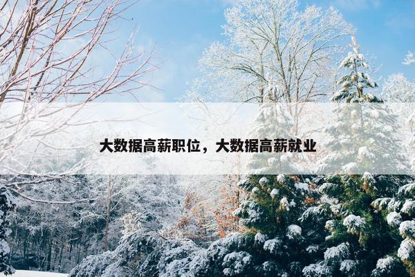 大数据高薪职位，大数据高薪就业