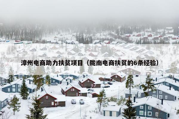 漳州电商助力扶贫项目（陇南电商扶贫的6条经验）
