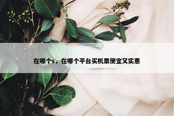 在哪个s，在哪个平台买机票便宜又实惠