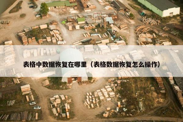 表格中数据恢复在哪里（表格数据恢复怎么操作）