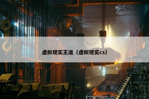 虚拟现实王道（虚拟现实cs）