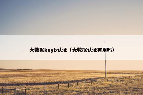 大数据keyb认证（大数据认证有用吗）