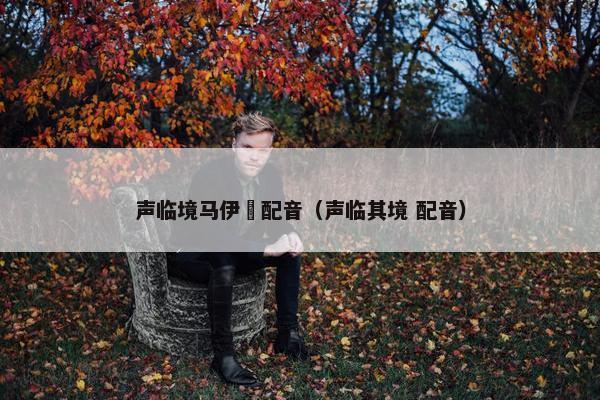 声临境马伊琍配音（声临其境 配音）