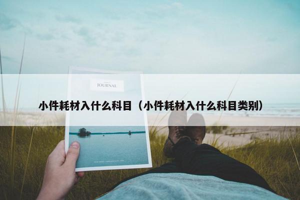 小件耗材入什么科目（小件耗材入什么科目类别）