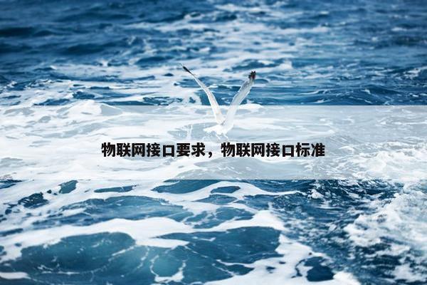 物联网接口要求，物联网接口标准