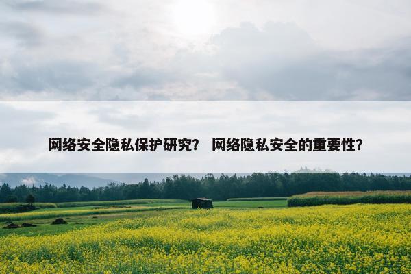 网络安全隐私保护研究？ 网络隐私安全的重要性？