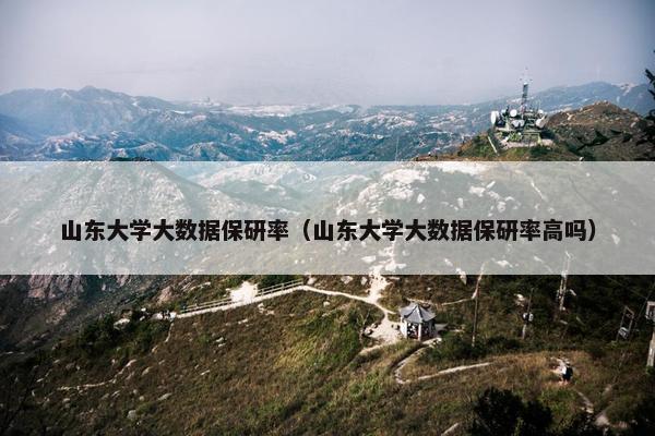 山东大学大数据保研率（山东大学大数据保研率高吗）