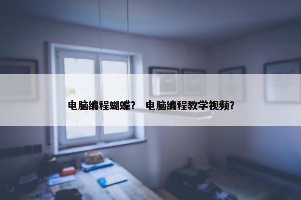 电脑编程蝴蝶？ 电脑编程教学视频？