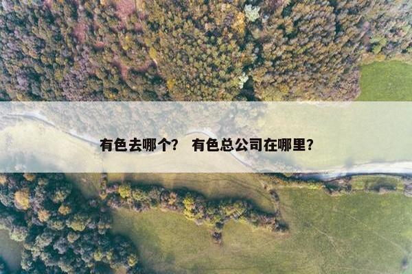 有色去哪个？ 有色总公司在哪里？