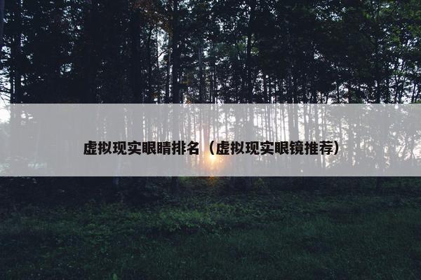 虚拟现实眼睛排名（虚拟现实眼镜推荐）