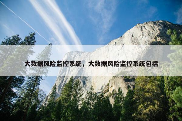 大数据风险监控系统，大数据风险监控系统包括