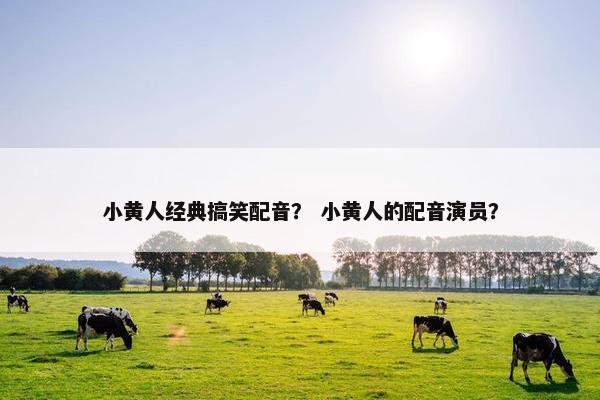小黄人经典搞笑配音？ 小黄人的配音演员？