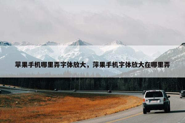 苹果手机哪里弄字体放大，萍果手机字体放大在哪里弄