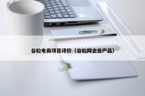 谷粒电商项目评价（谷粒网企业产品）