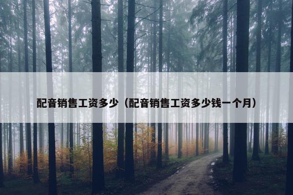 配音销售工资多少（配音销售工资多少钱一个月）