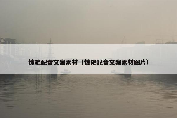 惊艳配音文案素材（惊艳配音文案素材图片）