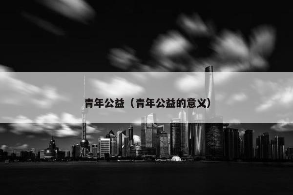 青年公益（青年公益的意义）
