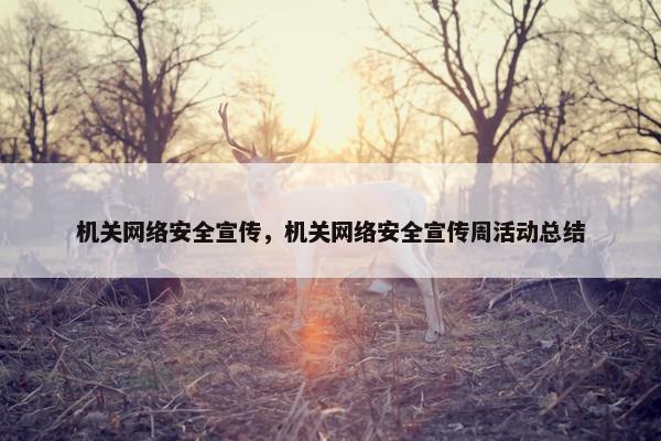 机关网络安全宣传，机关网络安全宣传周活动总结