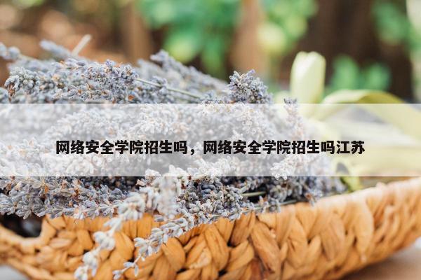 网络安全学院招生吗，网络安全学院招生吗江苏