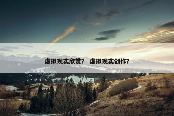 虚拟现实欣赏？ 虚拟现实创作？