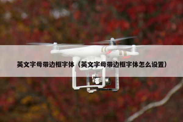英文字母带边框字体（英文字母带边框字体怎么设置）