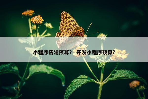 小程序搭建预算？ 开发小程序预算？