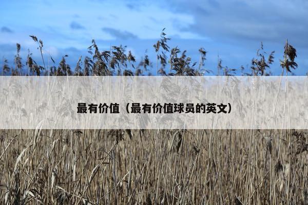最有价值（最有价值球员的英文）
