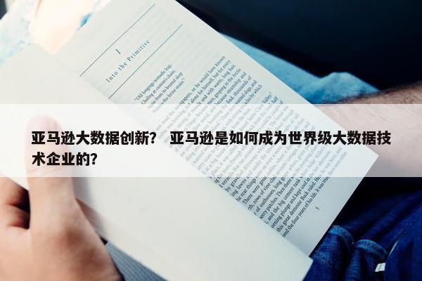 亚马逊大数据创新？ 亚马逊是如何成为世界级大数据技术企业的？