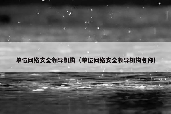 单位网络安全领导机构（单位网络安全领导机构名称）