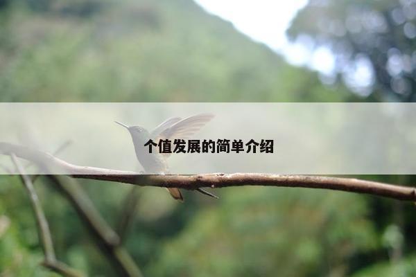 个值发展的简单介绍