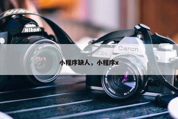 小程序缺人，小程序x