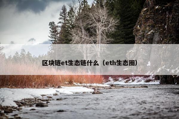 区块链et生态链什么（eth生态圈）