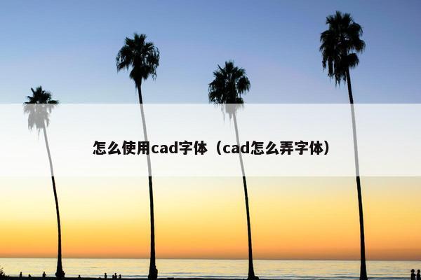 怎么使用cad字体（cad怎么弄字体）