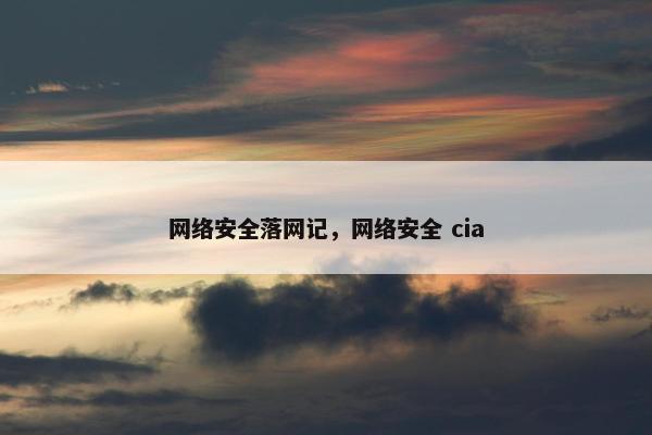网络安全落网记，网络安全 cia