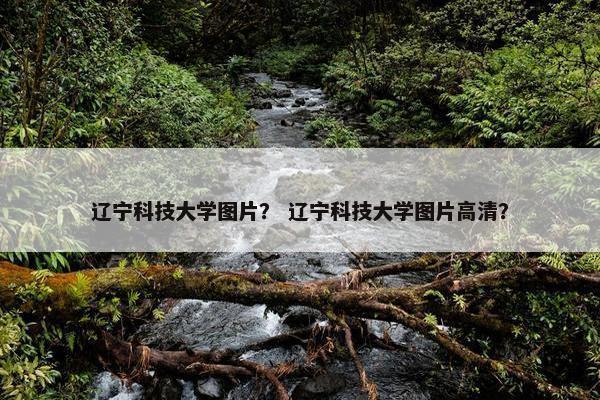 辽宁科技大学图片？ 辽宁科技大学图片高清？
