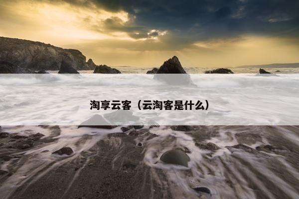 淘享云客（云淘客是什么）